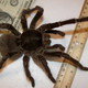Illustration for article titled Weekend Nightmare Fuel: The Biggest Crawling Animals on Earth